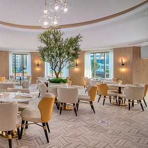 5* Savor The Flavors Of France Abu Dhabi