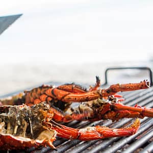 5* Seafood Theme Night Buffet W/Beverage For A Child Or Up To 4 Adults Abu Dhabi