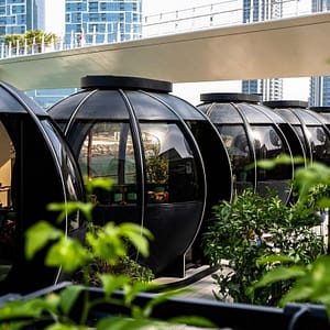 The Pods 4-Course Set Menu Brunches