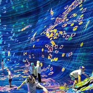 Explore Teamlab Phenomena General Admission For Adults And Youths Abu Dhabi