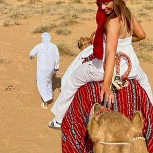Falconry - Recreational Dubai