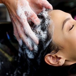 Blow Dry W/ Optional Wash