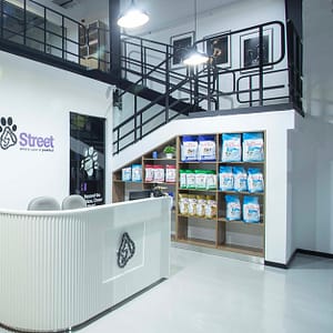 Pamper Your Pet Basic Or Full Grooming For Small To Xl Dogs Or Cats Dubai