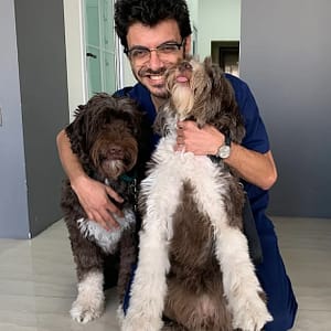 Take Care Of Your Pet: Vaccination Or Preventive Care Package Dubai