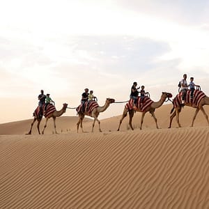 Tour - Bike Dubai