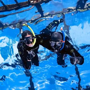 Dubai Aquarium & Underwater Zoo Cage Snorkelling Indoor Attractions