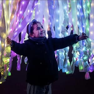 Christmas at Kew – Sightseeing and Tours Christmas at Kew Sightseeing and Tours