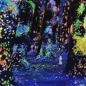 TeamLab Phenomena Abu Dhabi – Dated – Museums TeamLab Phenomena Abu Dhabi - Dated Museums