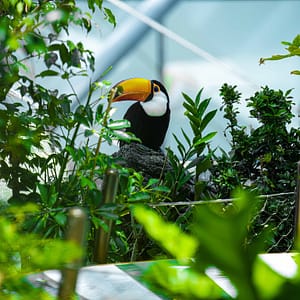 The Green Planet Dubai – Theme Parks The Green Planet Dubai Theme Parks