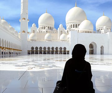 Abu Dhabi Private City Tour from Dubai with Transfers Sightseeing and Tours