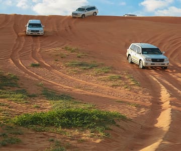 Desert Safari in RAK: Dune Bashing