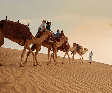 Dubai Sunset Safari Delight with BBQ dinner and camel ride Desert safaris