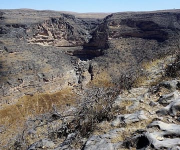 Salalah: Private Full-Day Jebel Safari Tour East Recently Added Experiences