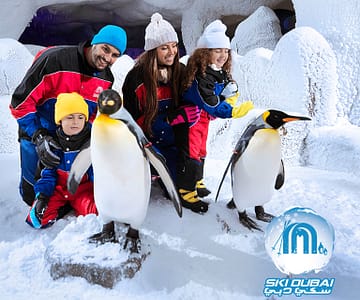 Ski Dubai: Snow Premium with Penguin Encounter Attractions Special Offers