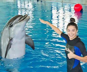 Swimming With Dolphins - Dubai Dolphinarium Dubai Dolphinarium