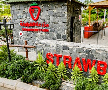 Strawberry Farm Top-Rated Attractions