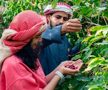 Hike with a local coffee farmer Recently Added Experiences