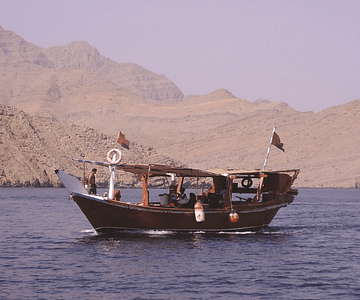 Muscat Dolphin Cruise With Shared Transfers Recently Added Experiences