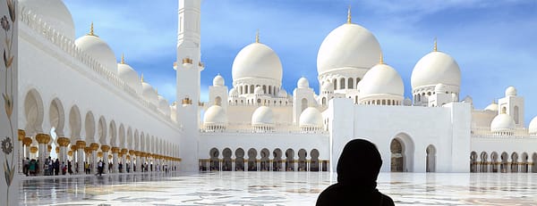 Abu Dhabi Private City Tour from Dubai with Transfers - Sightseeing and Tours - Image 3