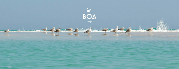 BOA The Beach in Jeddah - Nightlife - Image 3