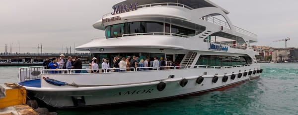Bosphorus Cruise with Open Buffet Lunch - Boat Tours and Cruises - Image 3