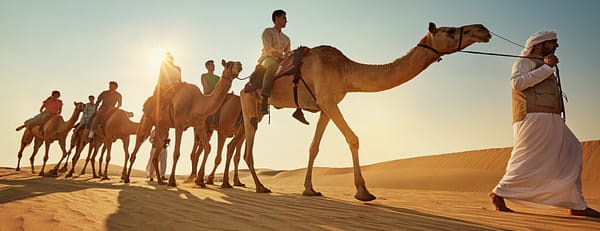 Camel Trekking Experience In Abu Dhabi With Transfers In Land Cruiser - Top-Rated Attractions - Image 3