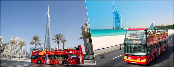 City Sightseeing Dubai - Sightseeing and Tours - Image 3