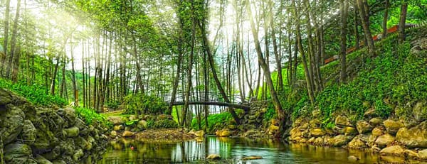 Daily Sapanca and Masukiye Tour: Full-Day Trip From Istanbul - Sightseeing and Tours - Image 3