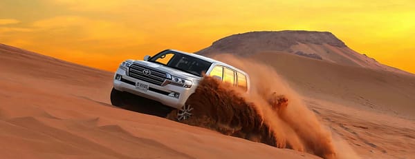 Shows And  BBQ Dinner Desert safaris
