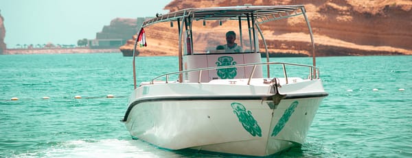 Exclusive Boating Experience - Dolphins Watching - Sightseeing and Tours - Image 3