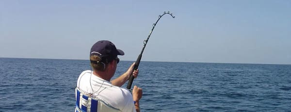 Fishing Tour in Musandam - Sightseeing and Tours - Image 3