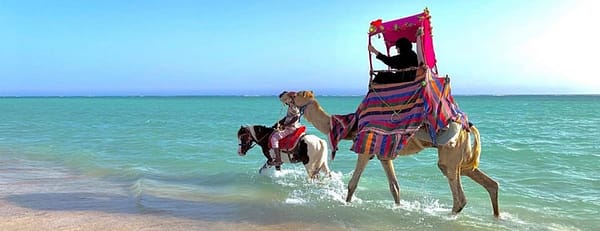 Full Day Obhur & Beach Tour With Transfers - Recently Added Experiences - Image 3