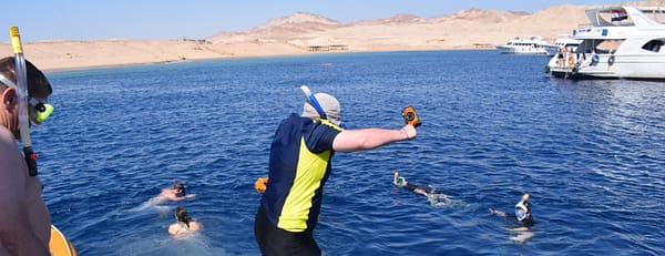 Half-day Snorkeling Boat trip with lunch and drinks from Sharm El Sheikh - Sightseeing and Tours - Image 3
