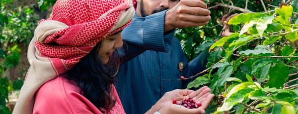 Hike with a local coffee farmer - Recently Added Experiences - Image 3
