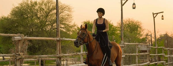 Horse Riding with Open Buffet Dinner & Shows - Desert safaris - Image 3