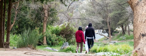 In Hike to the Ain Jamal Waterfall - Recently Added Experiences - Image 3