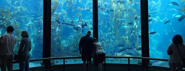 Oman Aquarium - Experiences - Image 3