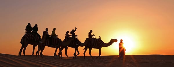 Overnight Red Dune Desert Safari with Dune Bashing, BBQ Dinner & Breakfast - Desert safaris - Image 3
