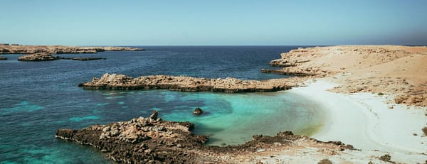 Private group tour of Daymaniyat Islands - Sightseeing and Tours - Image 3