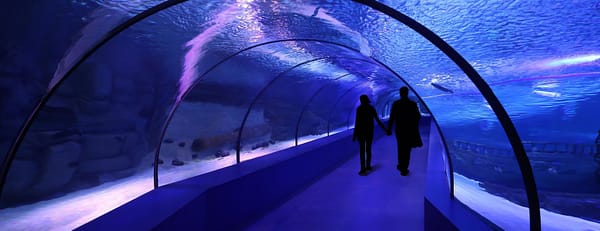 SEA LIFE London Aquarium - Same day Ticket - Top-Rated Attractions - Image 3