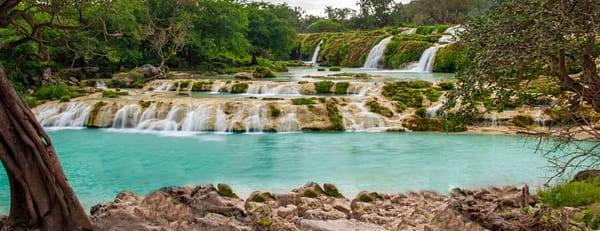 Salalah : Private Half Day East of Dhofar - Recently Added Experiences - Image 3