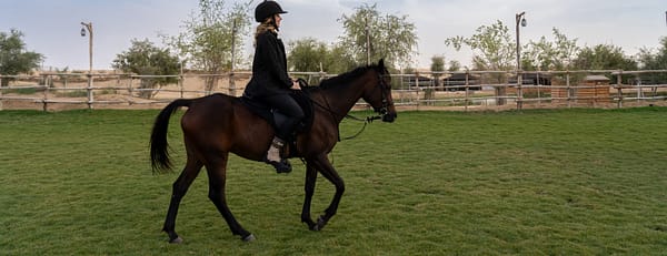 Sunset Horse Riding at Al Marmoom Oasis with a 6-Course Bedouin Dinner - Outdoor Attractions - Image 3