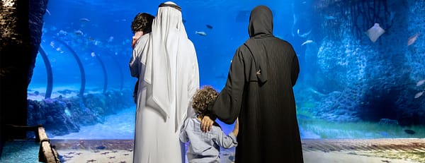 The National Aquarium Abu Dhabi - Experiences - Image 3