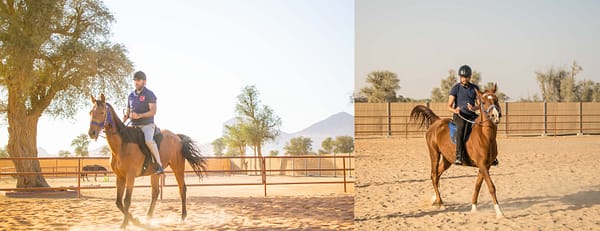 Horse Riding At Mleiha Arena - Sports Events - Image 3
