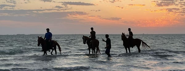 Horse Riding in Jeddah - Experiences - Image 3