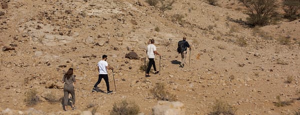 Jebel Buhais Tour - Top-Rated Attractions - Image 3