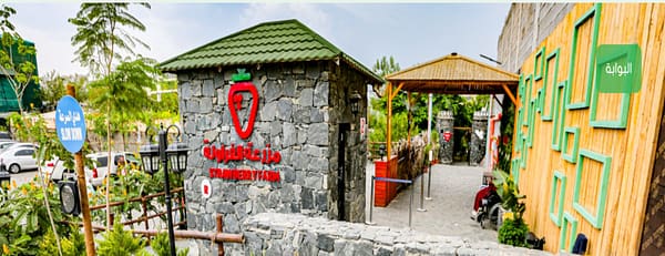 Strawberry Farm - Top-Rated Attractions - Image 3