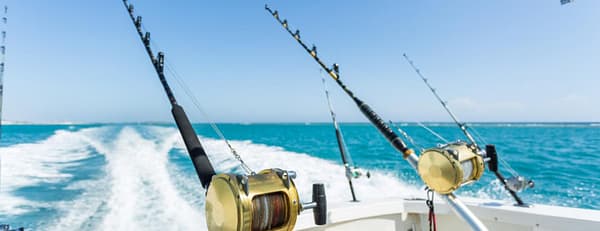 Trolling in Ocean for Big Fish - Top-Rated Attractions - Image 3