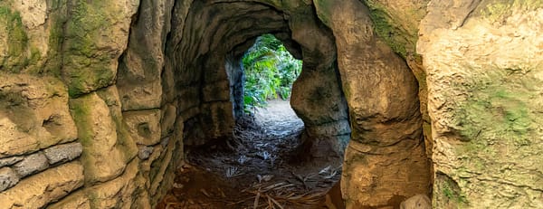 Tropical Land - Top-Rated Attractions - Image 3