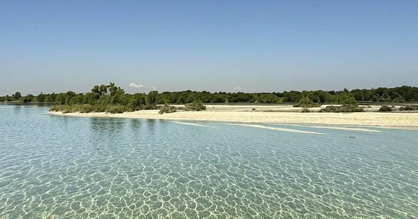 30 Or 60-Minute Quick Scenic Cruise In Abu Dhabi For Up To 2, 3, Or 4 Abu Dhabi - Image 10